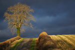 Fields near Whichford-Paul Friend.JPG